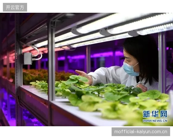 创新探索期监管协作方协同观赛体验系统与数据安全标准
